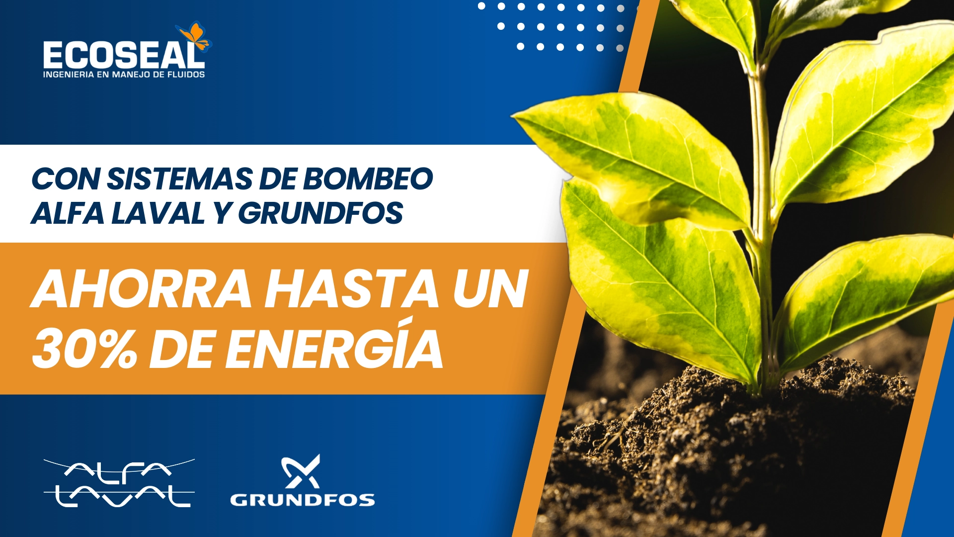Cómo Ahorrar Hasta un 30% de Energía con Bombas Alfa Laval y Grundfos